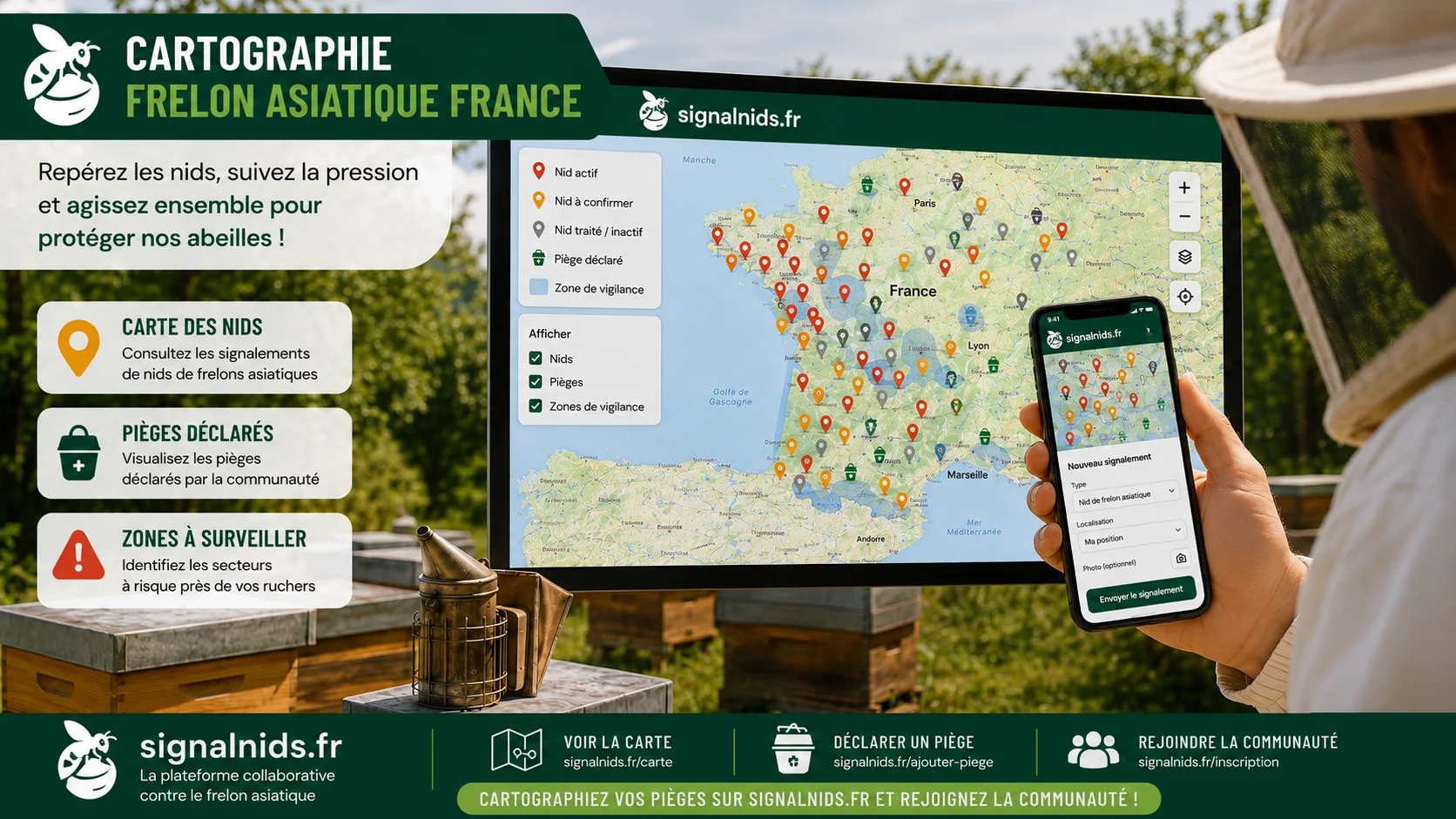 Guide Complet : Cartographie frelon asiatique France pour Apiculteurs