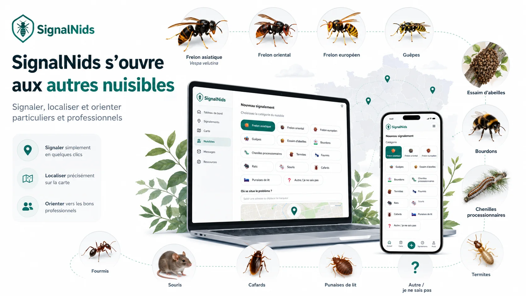 SignalNids s’ouvre aux autres nuisibles : signalez frelons, guêpes, rats, chenilles et nuisibles près de chez vous